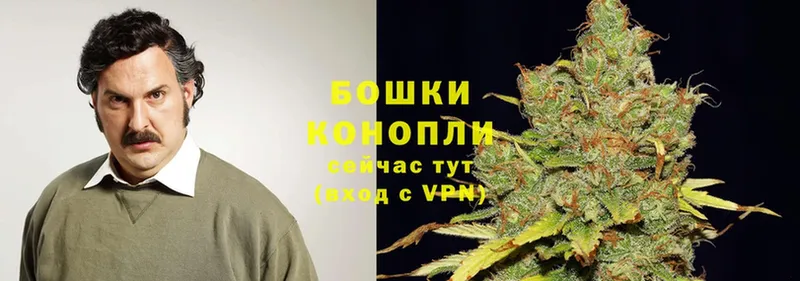 мориарти наркотические препараты  Ипатово  Марихуана White Widow 